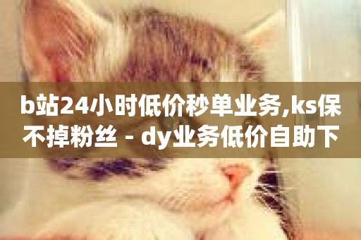 b站24小时低价秒单业务,ks保不掉粉丝 - dy业务低价自助下单转发 - 抖音点赞双击播放0.01下单大地房产马山肥装修活动-第1张图片-ZBLOG