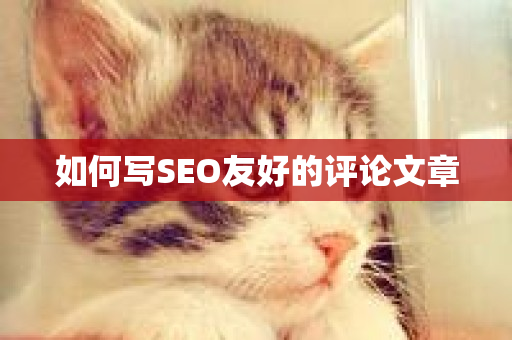 如何写SEO友好的评论文章-第1张图片-ZBLOG