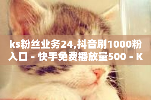 ks粉丝业务24,抖音刷1000粉入口 - 快手免费播放量500 - KS业务下单平台