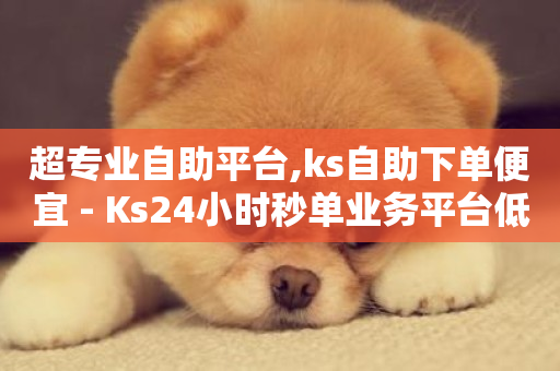 超专业自助平台,ks自助下单便宜 - Ks24小时秒单业务平台低价 - Ks 低价双击-第1张图片-ZBLOG