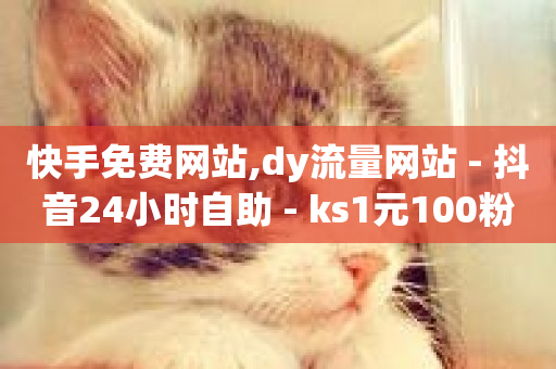 快手免费网站,dy流量网站 - 抖音24小时自助 - ks1元100粉