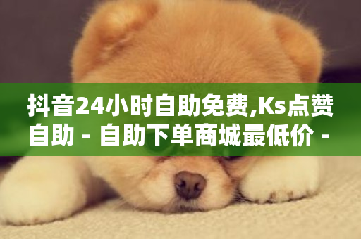 抖音24小时自助免费,Ks点赞自助 - 自助下单商城最低价 - 抖音投放24小时好还是12小时-第1张图片-ZBLOG