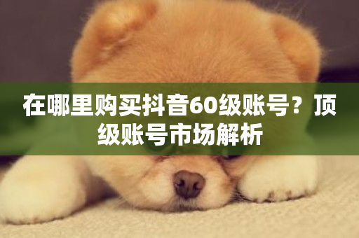 在哪里购买抖音60级账号？顶级账号市场解析-第1张图片-ZBLOG