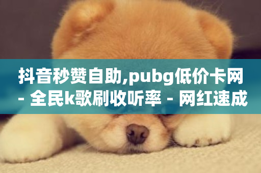 抖音秒赞自助,pubg低价卡网 - 全民k歌刷收听率 - 网红速成点赞-第1张图片-ZBLOG