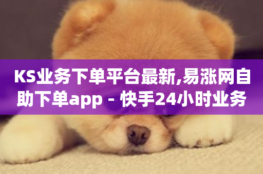 KS业务下单平台最新,易涨网自助下单app - 快手24小时业务平台 - QQ主页帮赞