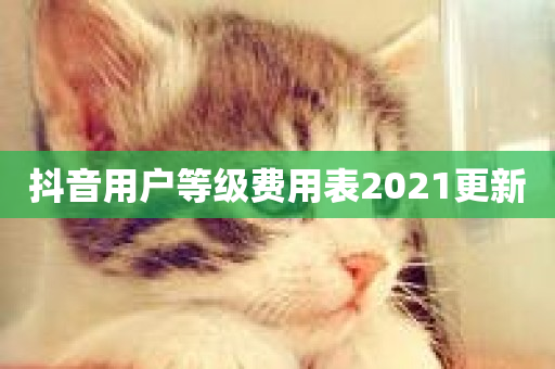 抖音用户等级费用表2021更新