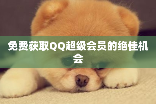 免费获取QQ超级会员的绝佳机会-第1张图片-ZBLOG