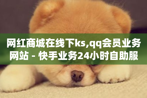 网红商城在线下ks,qq会员业务网站 - 快手业务24小时自助服务 - dy业务下单24小时最低价