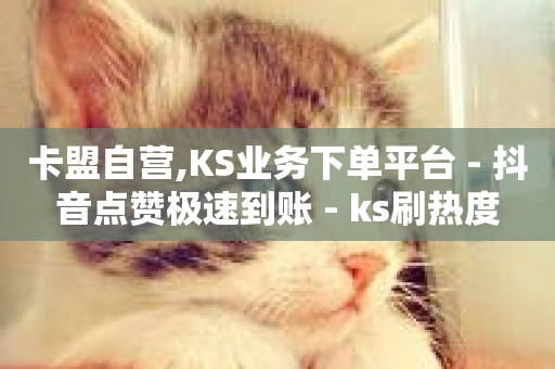 卡盟自营,KS业务下单平台 - 抖音点赞极速到账 - ks刷热度