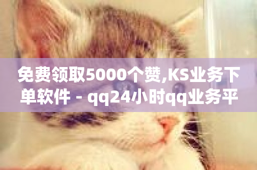 免费领取5000个赞,KS业务下单软件 - qq24小时qq业务平台便宜 - kg24小时自助下单全网最低价