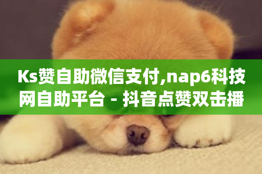 Ks赞自助微信支付,nap6科技网自助平台 - 抖音点赞双击播放0.01下单大地房产马山肥装修活动 - 快手业务平台全网最低价-第1张图片-ZBLOG