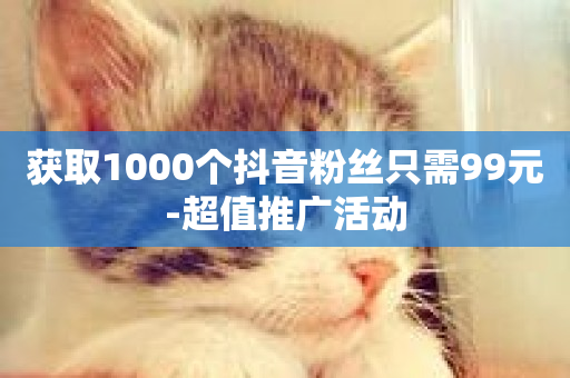 获取1000个抖音粉丝只需99元-超值推广活动-第1张图片-ZBLOG