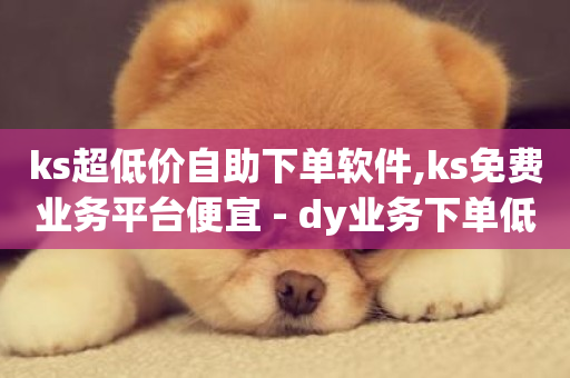 ks超低价自助下单软件,ks免费业务平台便宜 - dy业务下单低价 - 全网辅助最低货源网-第1张图片-ZBLOG