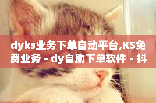 dyks业务下单自动平台,KS免费业务 - dy自助下单软件 - 抖音24小时业务平台