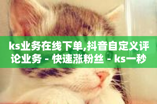 ks业务在线下单,抖音自定义评论业务 - 快速涨粉丝 - ks一秒5000赞-第1张图片-ZBLOG