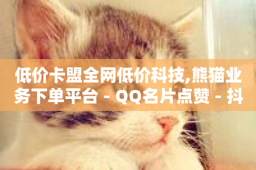 低价卡盟全网低价科技,熊猫业务下单平台 - QQ名片点赞 - 抖音业务卡盟平台-第1张图片-ZBLOG