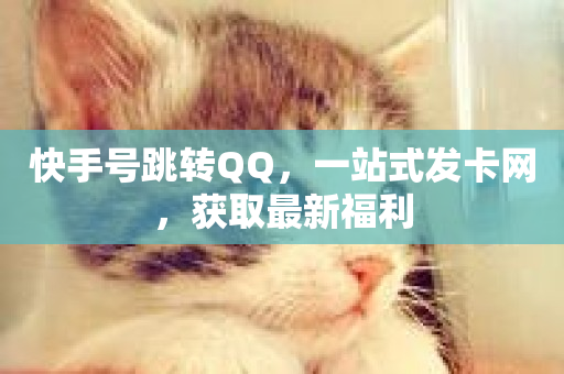 快手号跳转QQ，一站式发卡网，获取最新福利-第1张图片-ZBLOG