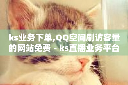 ks业务下单,QQ空间刷访客量的网站免费 - ks直播业务平台怎么下 - ks业务下单平台最新