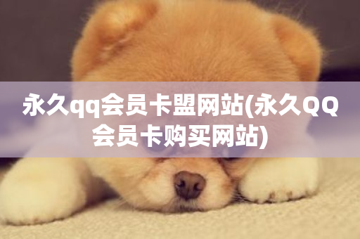 永久qq会员卡盟网站(永久QQ会员卡购买网站)-第1张图片-ZBLOG