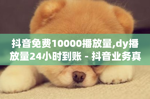 抖音免费10000播放量,dy播放量24小时到账 - 抖音业务真人下单24小时 - 快手点赞任务平台有哪些