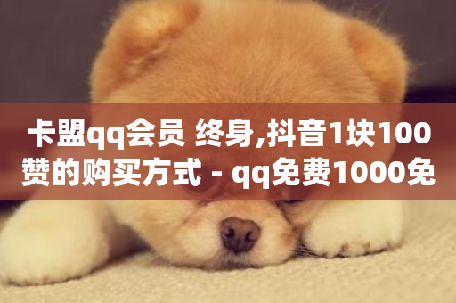 卡盟qq会员 终身,抖音1块100赞的购买方式 - qq免费1000免费访客软件优势 - 粉丝完播率-第1张图片-ZBLOG