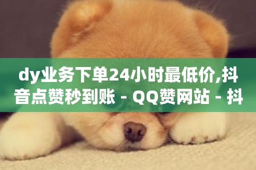 dy业务下单24小时最低价,抖音点赞秒到账 - QQ赞网站 - 抖音真人点赞24小时在线