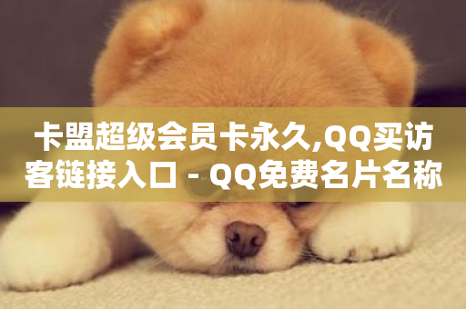 卡盟超级会员卡永久,QQ买访客链接入口 - QQ免费名片名称 - 抖音业务下单免费-第1张图片-ZBLOG