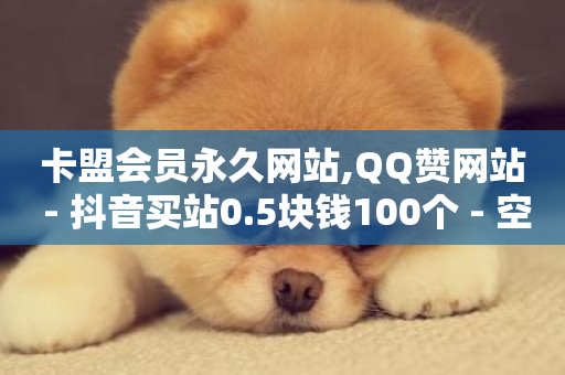 卡盟会员永久网站,QQ赞网站 - 抖音买站0.5块钱100个 - 空间访客量0.1元一万-第1张图片-ZBLOG