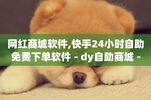 网红商城软件,快手24小时自助免费下单软件 - dy自助商城 - dy科技助手