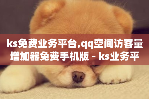 ks免费业务平台,qq空间访客量增加器免费手机版 - ks业务平台网站 - 云商城-在线下单-第1张图片-ZBLOG