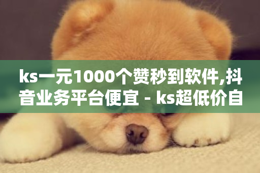 ks一元1000个赞秒到软件,抖音业务平台便宜 - ks超低价自助下单软件 - 快手接单平台业务-第1张图片-ZBLOG