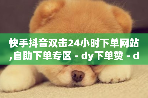 快手抖音双击24小时下单网站,自助下单专区 - dy下单赞 - dy24小时在线下单平台-第1张图片-ZBLOG