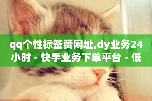 qq个性标签赞网址,dy业务24小时 - 快手业务下单平台 - 低价ks一毛1000赞