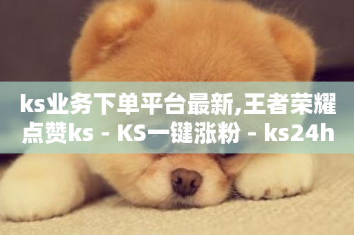 ks业务下单平台最新,王者荣耀点赞ks - KS一键涨粉 - ks24h自助下单