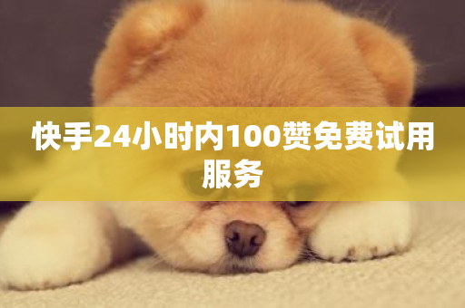 快手24小时内100赞免费试用服务-第1张图片-ZBLOG