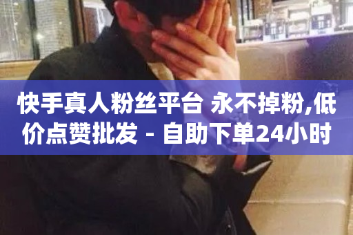 快手真人粉丝平台 永不掉粉,低价点赞批发 - 自助下单24小时平台最便宜 - dy播放量24小时到账-第1张图片-ZBLOG