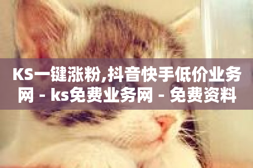 KS一键涨粉,抖音快手低价业务网 - ks免费业务网 - 免费资料卡点赞领取网站-第1张图片-ZBLOG