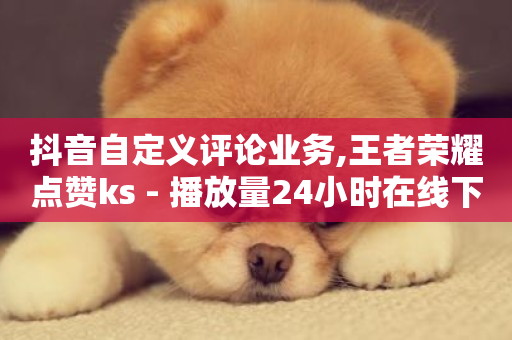 抖音自定义评论业务,王者荣耀点赞ks - 播放量24小时在线下单 - 1元3000粉丝不掉粉丝