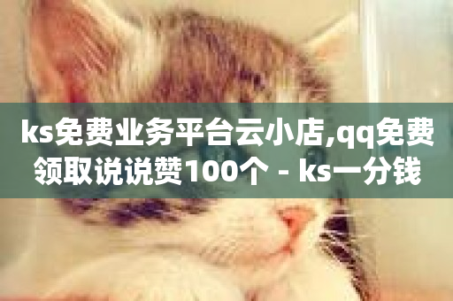 ks免费业务平台云小店,qq免费领取说说赞100个 - ks一分钱一百赞 - 抖音平台的市场营销方法-第1张图片-ZBLOG