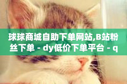 球球商城自助下单网站,B站粉丝下单 - dy低价下单平台 - qq免费一万访客软件-第1张图片-ZBLOG