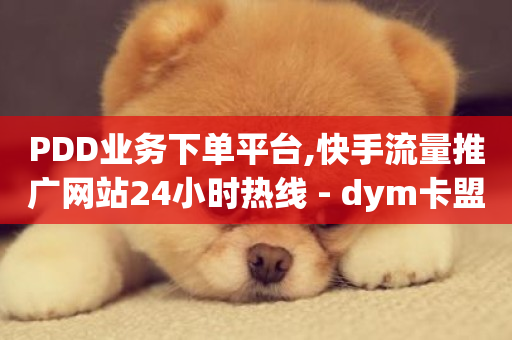 PDD业务下单平台,快手流量推广网站24小时热线 - dym卡盟 - dy播放量业务-第1张图片-ZBLOG