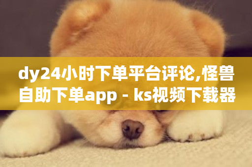 dy24小时下单平台评论,怪兽自助下单app - ks视频下载器 - 球球商城24小时自助下单网站-第1张图片-ZBLOG