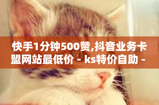 快手1分钟500赞,抖音业务卡盟网站最低价 - ks特价自助 - ks24h自助下单-第1张图片-ZBLOG