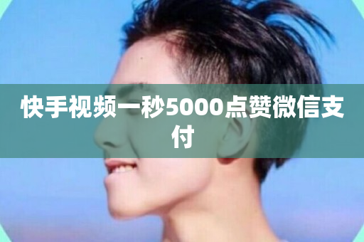 快手视频一秒5000点赞微信支付-第1张图片-ZBLOG