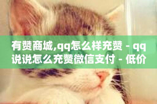 有赞商城,qq怎么样充赞 - qq说说怎么充赞微信支付 - 低价下单平台业务-第1张图片-ZBLOG