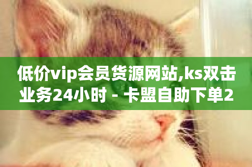 低价vip会员货源网站,ks双击业务24小时 - 卡盟自助下单24小时视频vip - ks买攒便宜-第1张图片-ZBLOG