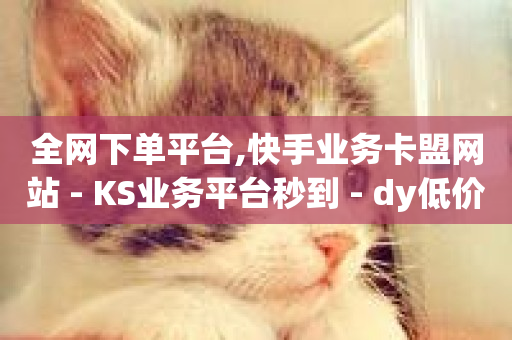 全网下单平台,快手业务卡盟网站 - KS业务平台秒到 - dy低价业务平台