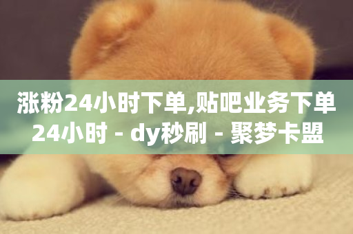 涨粉24小时下单,贴吧业务下单24小时 - dy秒刷 - 聚梦卡盟-第1张图片-ZBLOG