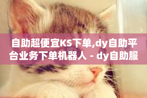 自助超便宜KS下单,dy自助平台业务下单机器人 - dy自助服务平台 - dy业务低价自助下单转发