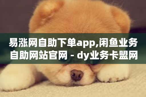 易涨网自助下单app,闲鱼业务自助网站官网 - dy业务卡盟网站 - 抖音一千粉-第1张图片-ZBLOG